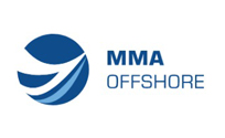 fmv global